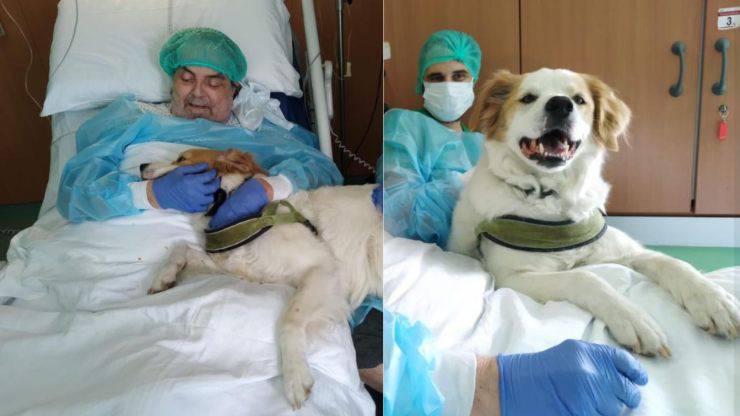 Dopo un anno in ospedale rivede il suo cane: le lacrime commuovono tutti
