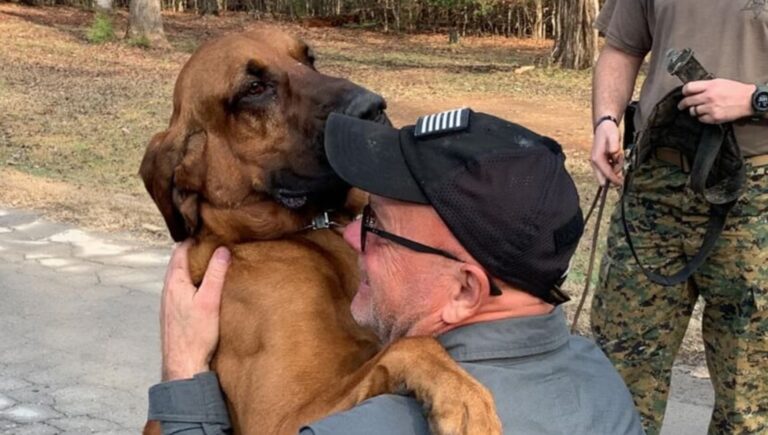Un uomo anziano riconosce per strada il cane scomparso tre anni prima. L’abbraccio tra i due ha emozionato milioni di utenti.