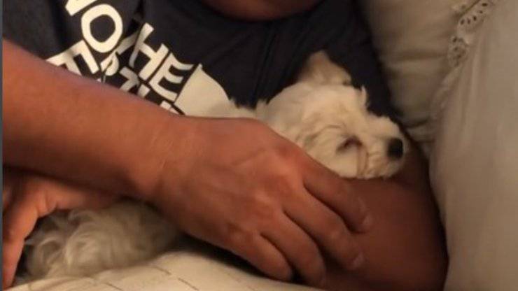 “Io questo cane non lo voglio”: oggi sono anime gemelle