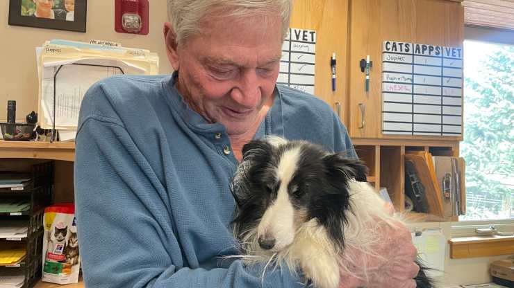 Riley, il cane che ha sfidato la neve per cercare la sua padrona morta: salvato dopo 5 settimane
