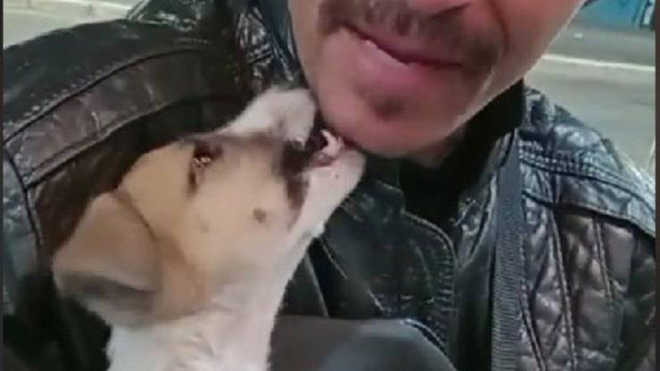 La vita gli toglie un cane, ma gli regala Leandro: un cucciolo investito da un’auto
