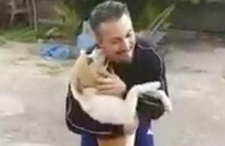 Cane scomparso ritrova il padrone dopo tre anni grazie a una foto sui social