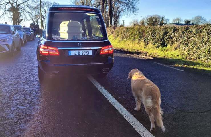 Lo scatto che commuove il mondo: il cane accompagna il feretro della padrona