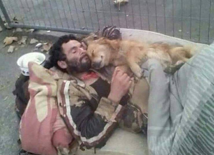 Il clochard e il suo cane abbracciati per strada: la foto simbolo dell’amore che non ha bisogno di nulla