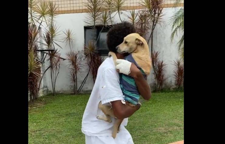 Cane aspetta il padrone fuori dall’ospedale ogni giorno alla stessa ora