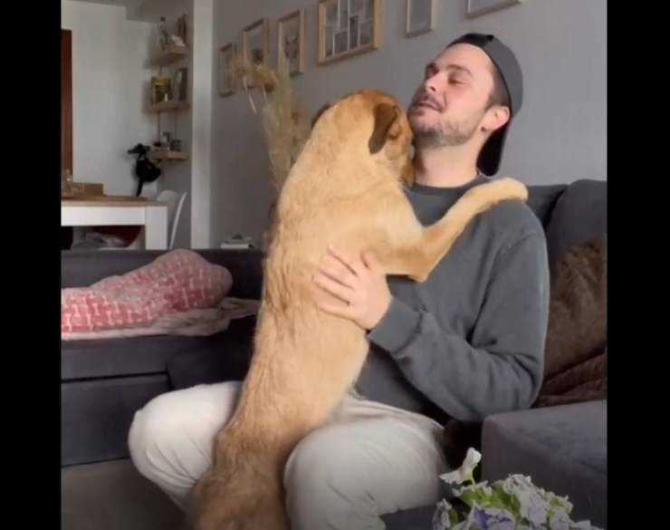 Il dolcissimo gesto della cagnolina Pepa diventa virale su Instagram: non vuole che il suo amato umano la lasci da sola neanche per un minuto