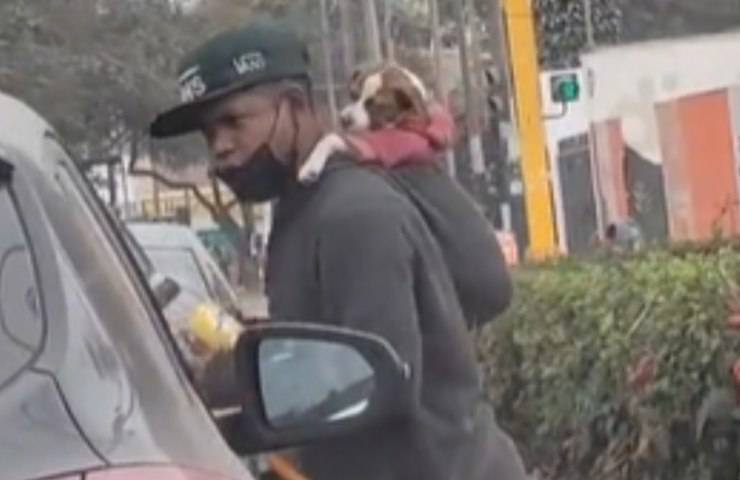 Giovane lava vetri e tiene il cucciolo nel cappuccio: il gesto d’amore che conquista i social