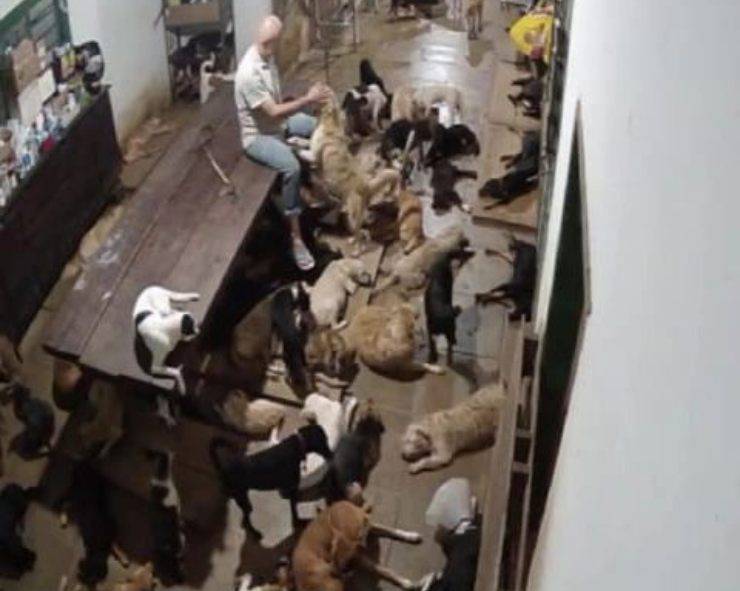 Antonio, l’uomo che ha venduto tutto, compreso il suo letto, per salvare centinaia di cani randagi