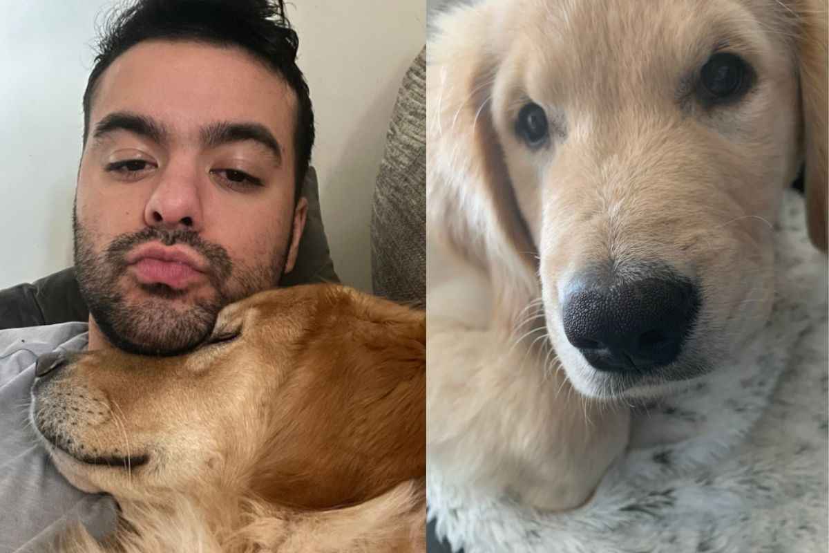 Il cane Archie dato via a sua insaputa: la corsa del soldato tornato dalla missione per ritrovarlo