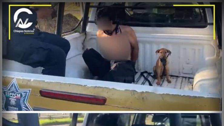 In Messico, un cane ha dimostrato quanto forte possa essere il legame tra un animale e il suo proprietario, seguendolo persino nel momento più difficile della sua vita: l’arresto.