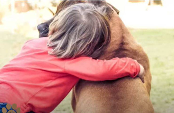 Tutti lo avevano ignorato: una bambina cambia per sempre la vita di un Pitbull triste