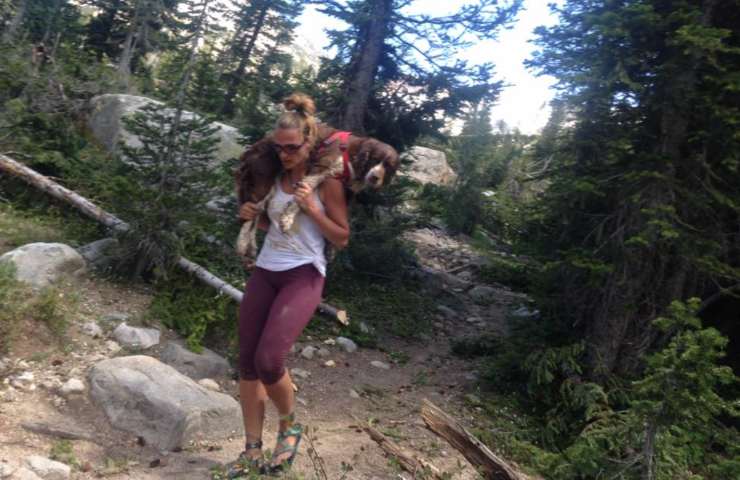 Durante un'escursione in montagna, una donna trova un cane ferito in un burrone: lo salva portandolo in spalla per oltre sei ore.