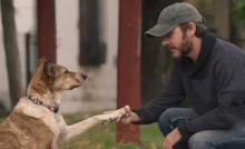 La scena di un cane che sembra riconoscere il cuore del suo vecchio padrone in un’altra persona ha commosso il mondo, ma la scienza è più scettica.