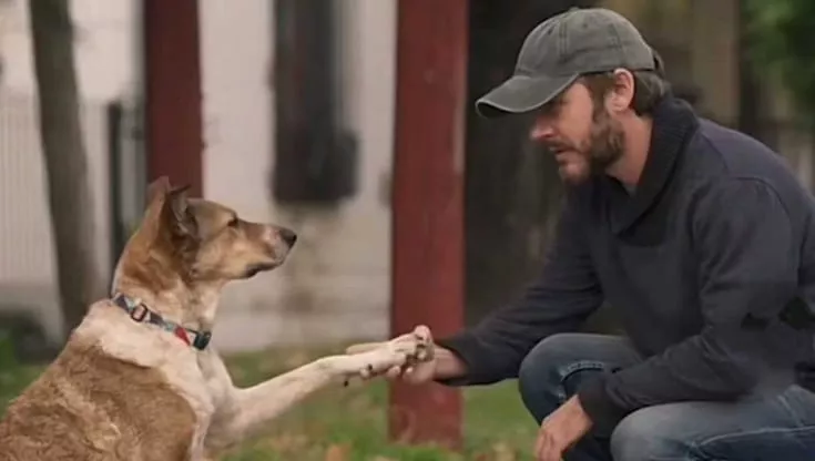 La scena di un cane che sembra riconoscere il cuore del suo vecchio padrone in un’altra persona ha commosso il mondo, ma la scienza è più scettica.