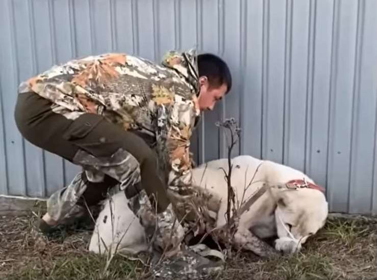 Per due anni Snow ha vegliato davanti alla casa del suo padrone scomparso, fino al salvataggio che gli ha regalato una nuova speranza di vita.