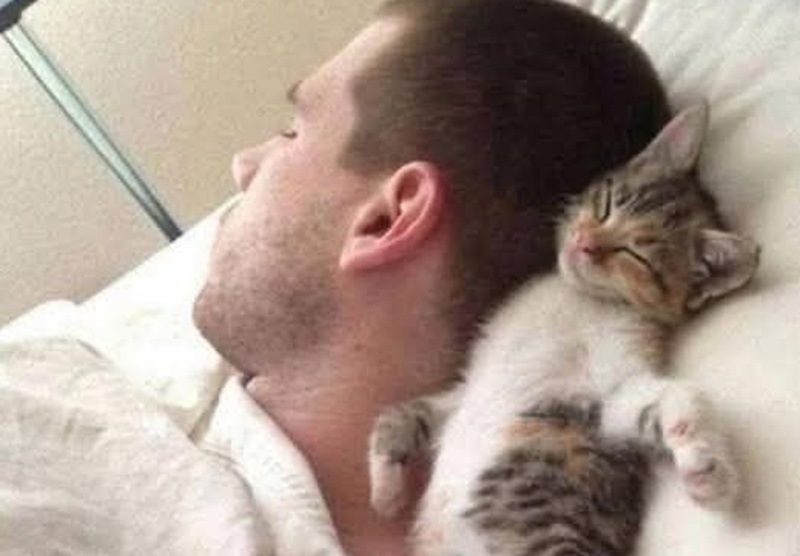 Trovato tremante e affamato, un gattino ha trovato salvezza e amore nelle braccia di chi lo ha raccolto e accolto come parte della famiglia.