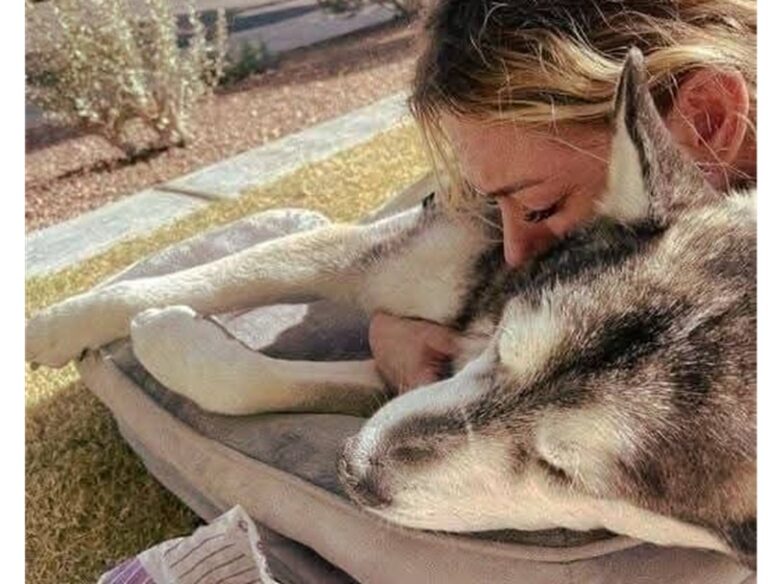 Sam se n’è andato a 18 anni per un improvviso problema al cuore. Il suo ultimo viaggio è stato accompagnato da amore, dignità e un addio speciale.
