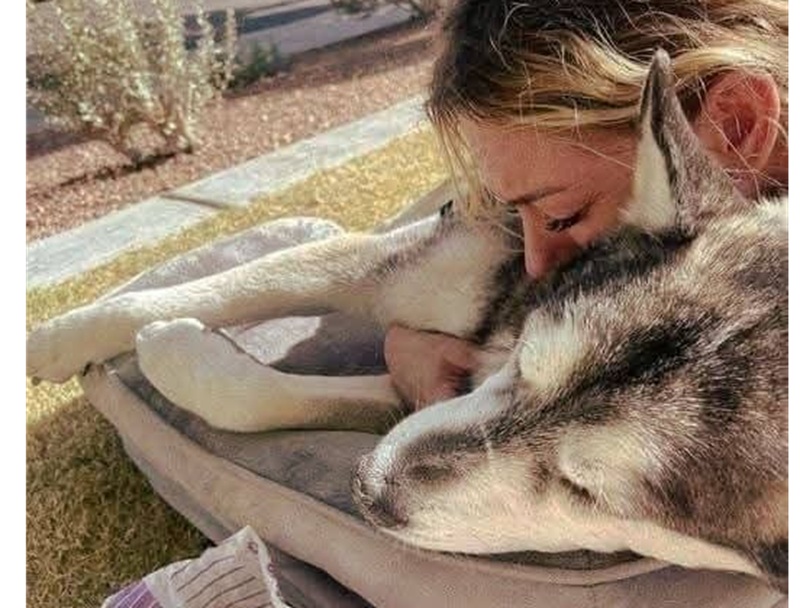 Sam se n’è andato a 18 anni per un improvviso problema al cuore. Il suo ultimo viaggio è stato accompagnato da amore, dignità e un addio speciale.