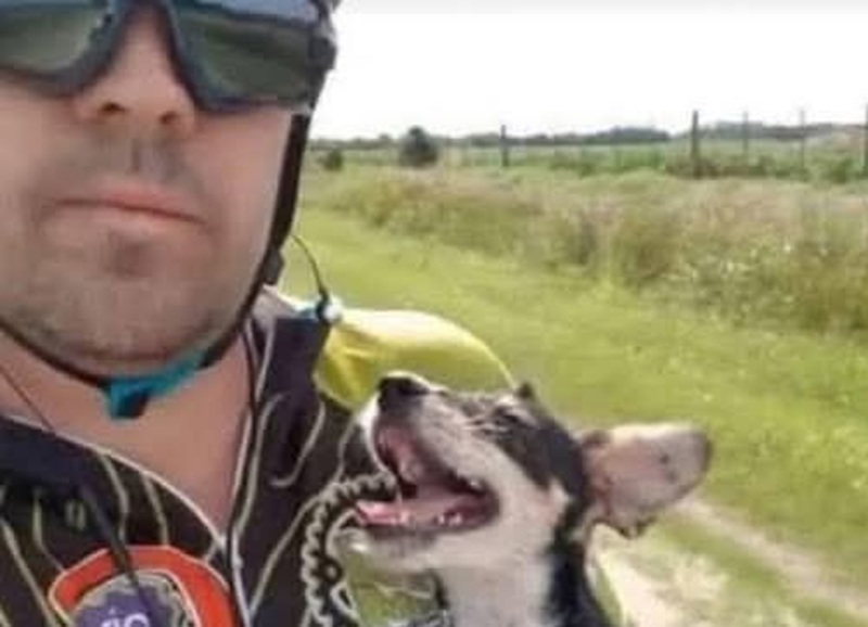 Abbandonato, affamato e tremante, ha trovato speranza nello sguardo gentile di uno sconosciuto che lo ha salvato e adottato.