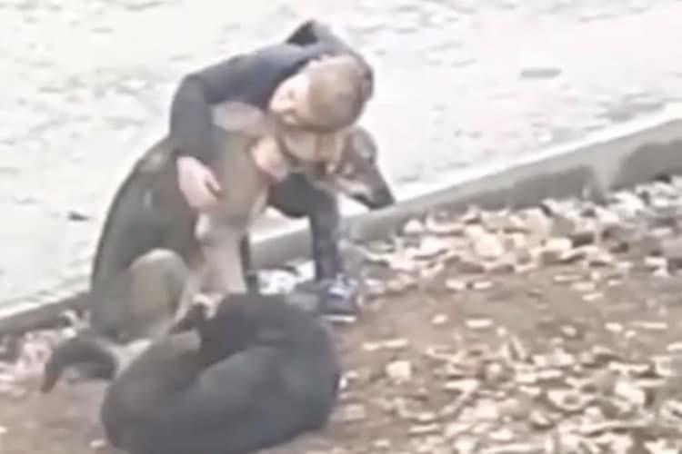 Ogni giorno rinunciava alla sua merenda per sfamare due cagnolini randagi scheletrici. Un gesto silenzioso che la mamma ha scoperto solo grazie alle telecamere di casa.