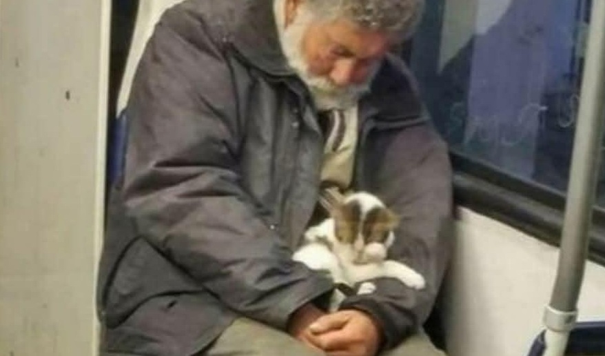 Un uomo senza dimora stringe tra le braccia il suo unico tesoro: un piccolo gatto addormentato, simbolo di un amore che resiste anche nella povertà.