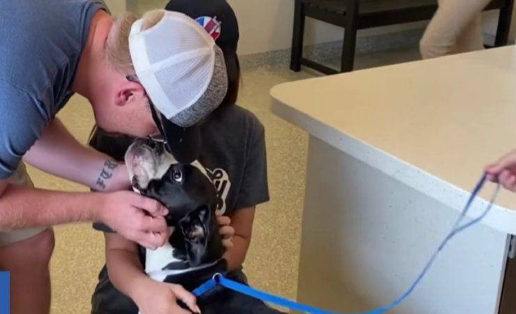 Un cane ferito e denutrito, trovato a nord di Houston dai servizi di canile, ha vissuto una straordinaria avventura a lieto fine. L’animale, affidato al rifugio Houston SPCA, era in condizioni critiche ma ha mostrato fin da subito una grande voglia di vivere.