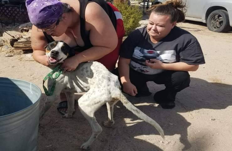 Il piccolo Bubba, scomparso dopo un incidente stradale in Arizona, è stato ritrovato dopo tre mesi: la sua storia ha commosso il web.