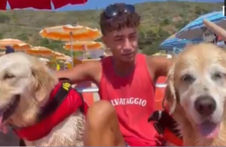Due Golden Retriever addestrati al salvataggio hanno tratto in salvo cinque giovani finiti in mare dopo l’affondamento del pedalò a 200 metri dalla costa.