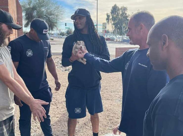 Un cucciolo è rimasto intrappolato con il muso in una lattina di metallo: i pompieri di Phoenix lo hanno liberato con un delicato intervento.