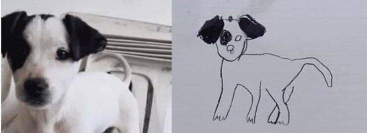 Due sorelline di 6 e 7 anni offrono una ricompensa simbolica con un disegno per ritrovare il loro cane. Il post diventa virale e arriva il lieto fine.