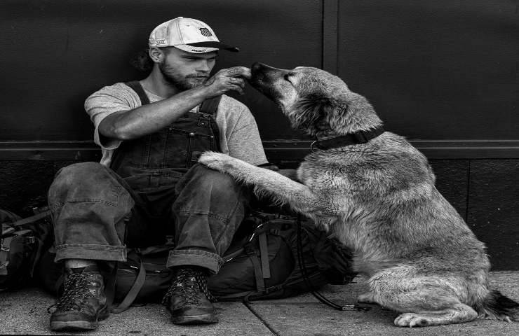 Senzatetto rifiutano l’ostello senza i loro cani, meglio la strada