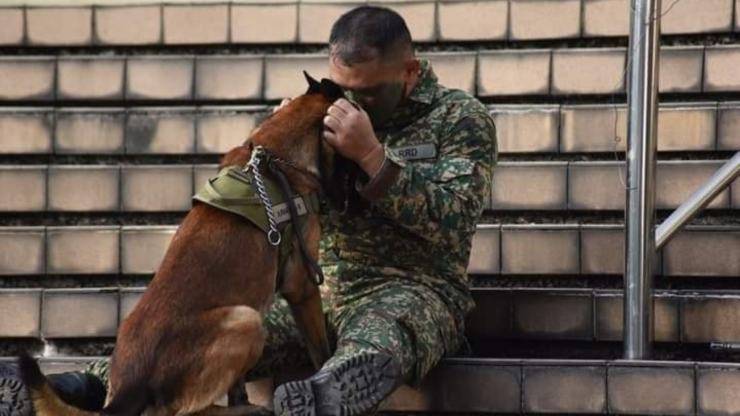 Ultimo giorno insieme: il soldato saluta il suo cane Loki con un tenero abbraccio Un soldato e il suo cane si abbracciano per l’ultima volta dopo anni di servizio insieme. Il video del commiato ha commosso il web. Un legame forgiato nel tempo e nel dovere Il video di un soldato che abbraccia il suo cane sulle gradinate dopo la Giornata nazionale è diventato virale su TikTok e su altri social, toccando il cuore di migliaia di utenti. Protagonisti del commovente momento sono Micro Junior, militare originario del Sarawak, e il suo cane Loki, compagno fedele durante anni di servizio. Quel giorno rappresentava per entrambi la fine di un percorso condiviso: mentre il soldato si prepara a lasciare l’uniforme, anche Loki affronterà una nuova fase della sua vita, lontano dal suo storico conduttore. “Abbiamo affrontato insieme i campi minati della vita” A raccontare la storia è lo stesso Micro Junior, che ha pubblicato un messaggio d’addio sulla sua pagina Facebook, ricevendo un’ondata di affetto. “Questa è la nostra ultima celebrazione dell’indipendenza perché presto ci separeremo. Abbiamo affrontato insieme i campi minati della vita nel corso degli anni e lui è il mio vero amico”, ha scritto il soldato, lasciando trasparire la profondità del legame che li unisce. Il video mostra Loki seduto accanto al suo compagno umano, ricevendo carezze e parole dolci mentre il sole tramonta sulla loro ultima giornata fianco a fianco. Il commiato che ha emozionato anche il Ministero della Difesa Il momento non è passato inosservato nemmeno alle istituzioni: il Ministro della Difesa malaysiano ha commentato pubblicamente la scena, ringraziando il duo per la dedizione e il servizio prestato. “Mi sono commosso quando ho visto le foto. La coppia Micro Junior-Loki sarà ricordata e apprezzata per sempre. Grazie a Micro Junior per il suo servizio e la sua dedizione. Speriamo che Loki continui a eccellere con il suo nuovo compagno”, ha scritto il Ministro. Il filmato, caricato anche sull’account TikTok @hrppertiwi, ha raccolto migliaia di visualizzazioni, diventando simbolo dell’amore e della lealtà tra uomo e animale, in contesti spesso ignorati come quello militare.