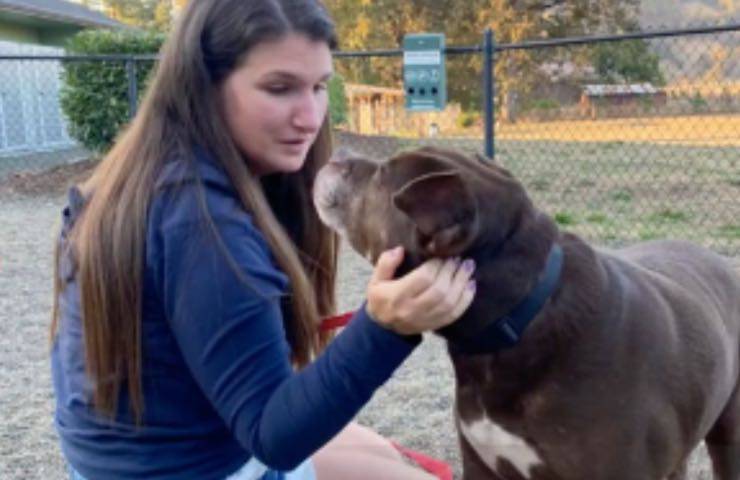La storia di Otto, il dolce cane color cioccolato che “in posa sembra una foca”, ha commosso TikTok e gli amanti degli animali di tutto il mondo. Dopo cinque lunghi anni di assenza, il pelosetto è finalmente tornato a casa, realizzando il sogno della sua padroncina, Wesley Light.