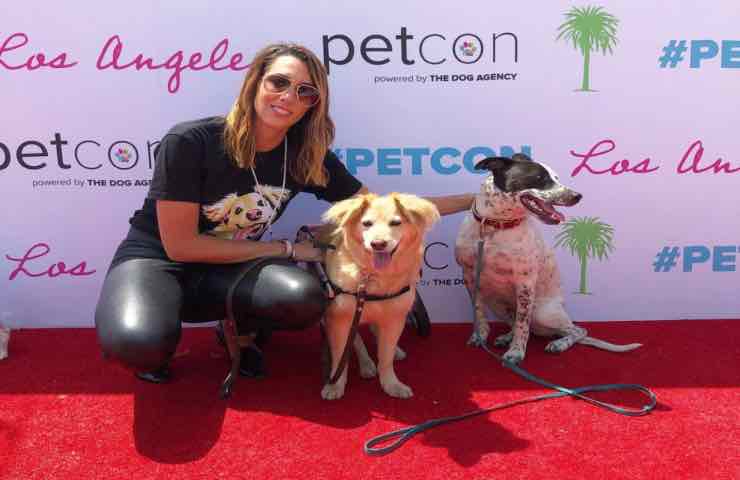 Scooty e Wyatt, due cagnolini investiti da un’auto a sette anni di distanza, sono stati salvati da Erica Loring che ha offerto loro una seconda possibilità.