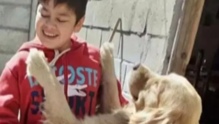 A Berazategui, un Golden retriever sottratto a un bambino cieco ha tenuto col fiato sospeso un intero quartiere. Poi il lieto fine: Rodolfo è tornato a casa.