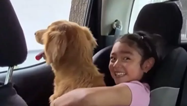 Sofía piangeva disperata, Canela leccò le sue lacrime e salì in auto: così è nata un’amicizia indissolubile, scritta dal destino.
