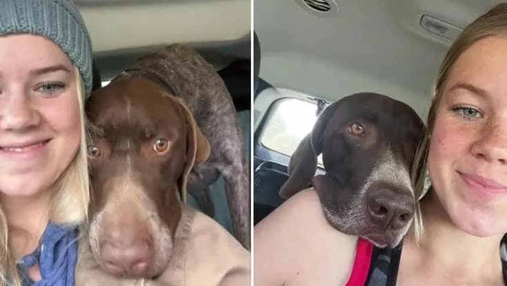 Dopo due anni dalla perdita del suo amato cane, Lori adotta Ringo, fratello di Scout. Durante il primo viaggio insieme, accade qualcosa che la lascia senza fiato.