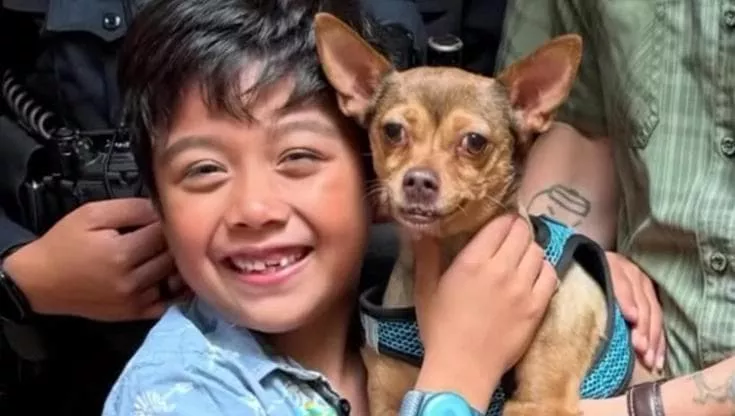 Credevano fosse persa per sempre, e invece un microchip ha riportato la cagnolina Peach tra le braccia della famiglia Chow a San Francisco.