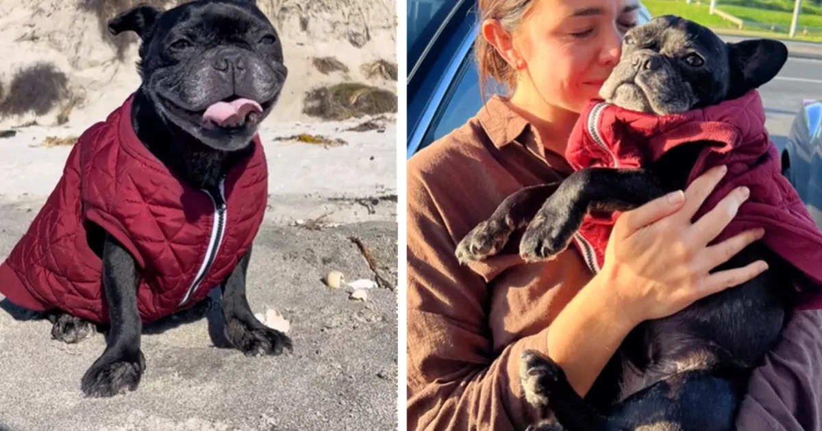 Il video virale mostra una ragazza che regala al suo Bulldog Francese malato un’ultima giornata indimenticabile prima di dirgli addio per sempre.