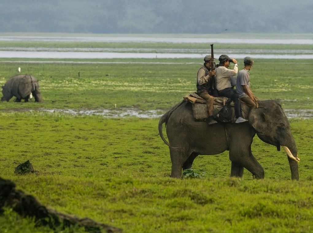 Per decenni ha lottato contro i bracconieri e salvato persone durante le inondazioni del Brahmaputra. Mohanmala si è spenta a 85 anni, lasciando un’eredità immortale.