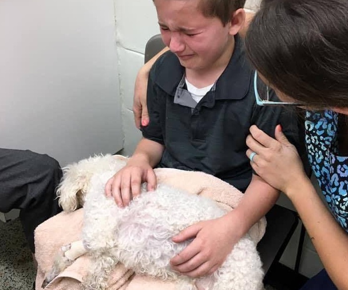 Durante un controllo veterinario di routine, Buffy ha rivelato un grave cedimento renale. Robbie, adottato dopo anni difficili, ha scelto di accompagnarla fino all’ultimo istante.
