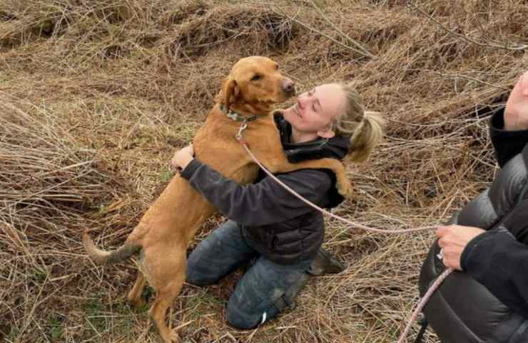 Olive, un Labrador di due anni, era dispersa da giorni. Ritrovata viva in un pozzo profondo quattro metri, è tornata tra le braccia della proprietaria.