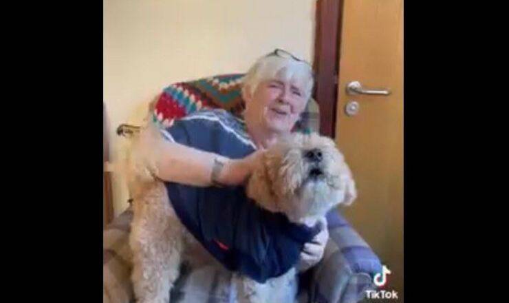 Diana, rimasta vedova dopo 60 anni di matrimonio, ritrova l’amato cane Jack grazie all’iniziativa di un’infermiera e di sua sorella.