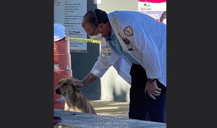A Río Piedras, un cane resta accanto al suo proprietario senza vita. Un medico, colpito dalla scena, decide di adottarlo e offrirgli una nuova casa.