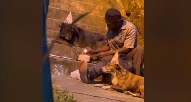 Un giovane senzatetto organizza una festa di compleanno per i suoi due cani. Il video commuove il web e trasforma per sempre la sua vita.