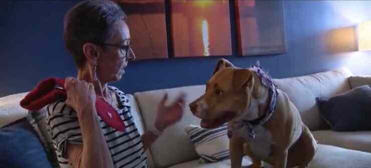 La donna, ospite di un ospizio, ha poche settimane di vita. Il suo unico pensiero è garantire un futuro felice alla sua cagnolina Rosie.