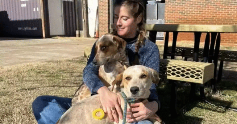 Salvati insieme dalle strade di Oklahoma City, i due cani randagi hanno affrontato cure, gioie e una dolorosa separazione che si è trasformata in un doppio lieto fine.