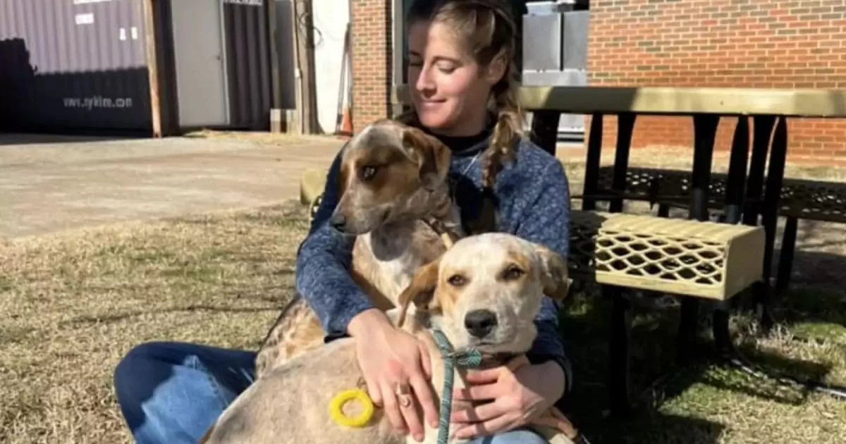 Salvati insieme dalle strade di Oklahoma City, i due cani randagi hanno affrontato cure, gioie e una dolorosa separazione che si è trasformata in un doppio lieto fine.