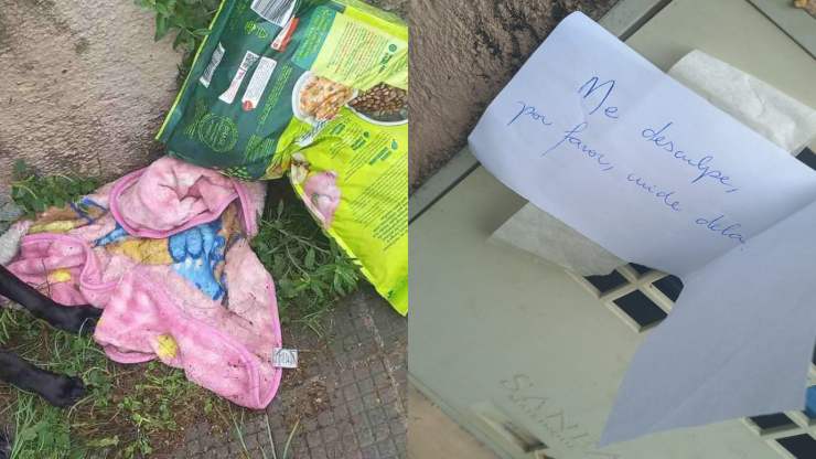 Legata a un cancello con una coperta e un messaggio di scuse, una cagnolina è stata salvata da due donne che le hanno ridato dignità e amore.