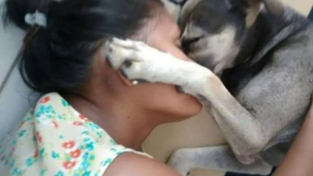 Disperso nel nulla per mesi, il piccolo Pepi ha ritrovato la sua padrona Taciana in una scena che ha commosso l’intera città di Recife.